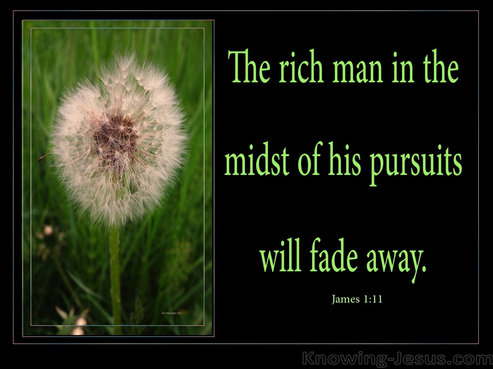 James 1:11 The Rich Man Will Fade Away (green)